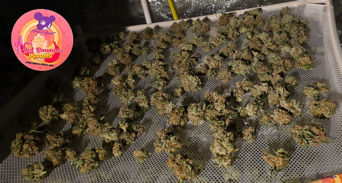 Growreport Bild 78
