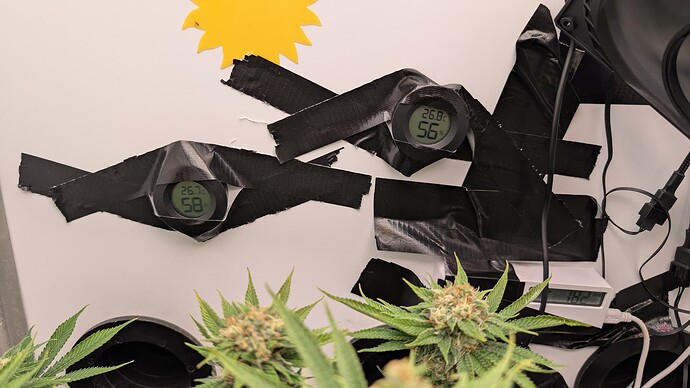 Growreport Bild 19