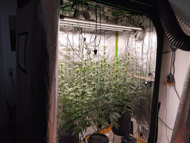 Growreport Bild 6