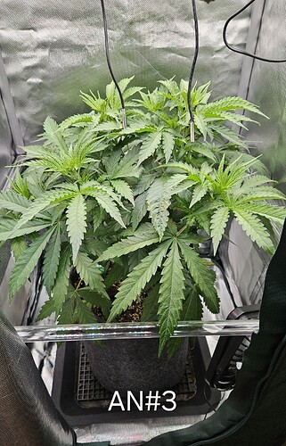 Growreport Bild 11