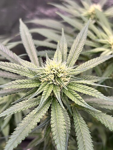 Growreport Bild 18