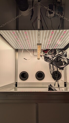 PXL_20250418_083553161.MP