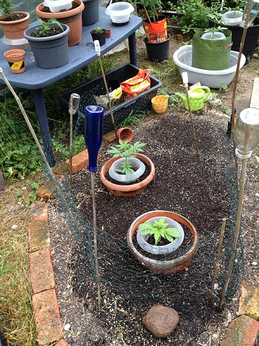 Growreport Bild 13