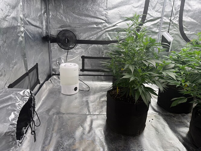 Growreport Bild 5