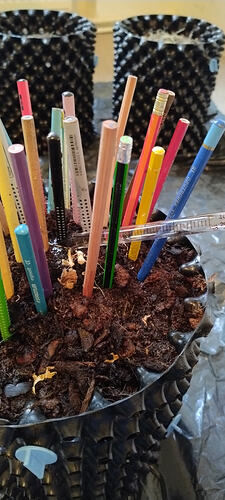 Growreport Bild 24
