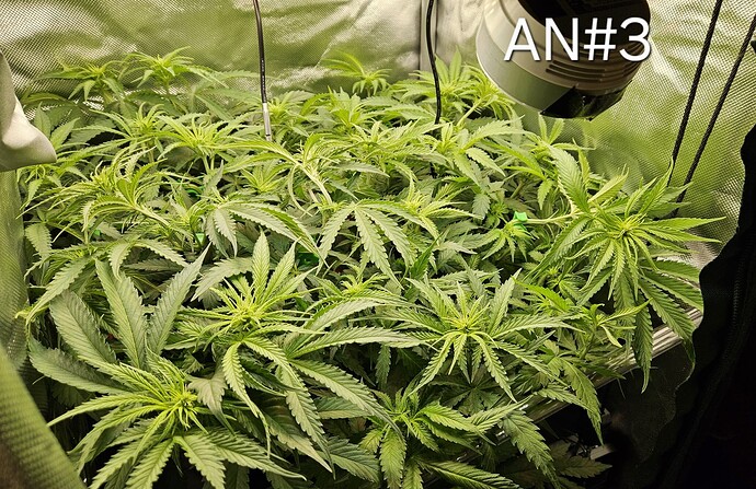 Growreport Bild 5