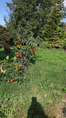 Growreport Bild 18