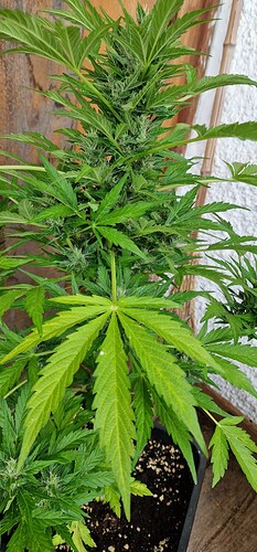 Growreport Bild 10
