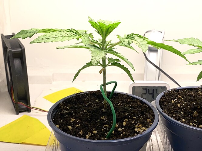 Growreport Bild 7