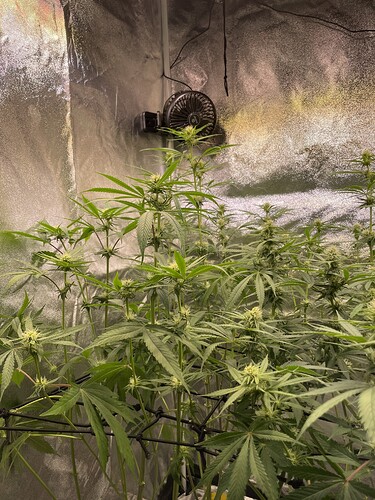Growreport Bild 14