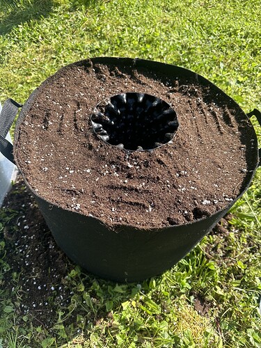 Growreport Bild 2