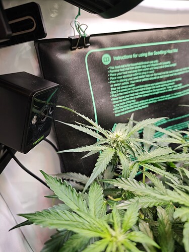 MVIMG_20251026_194104