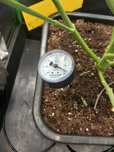 Growreport Bild 7