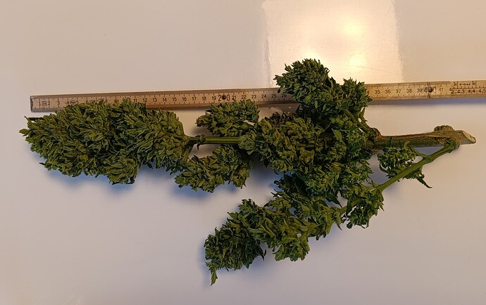 Growreport Bild 2