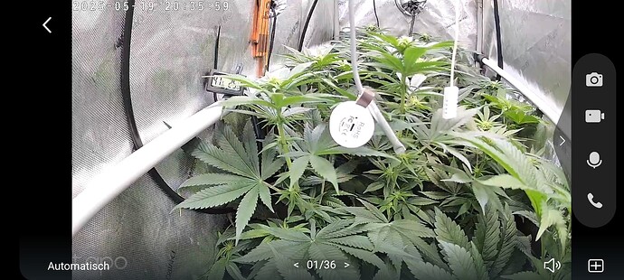 Growreport Bild 21