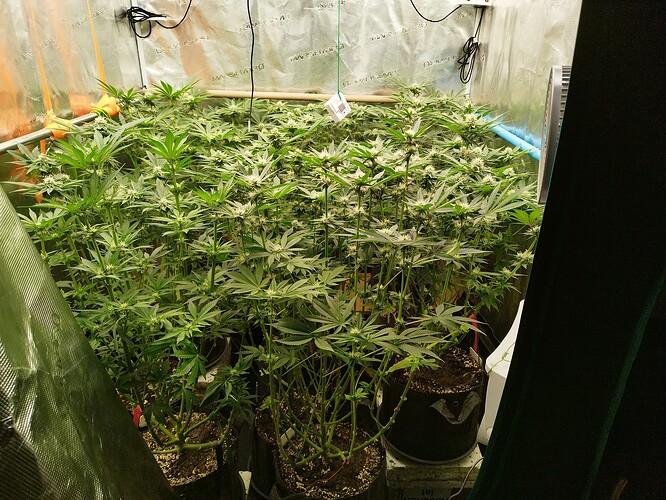 Growreport Bild 16