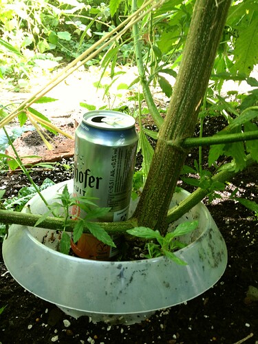 Growreport Bild 62