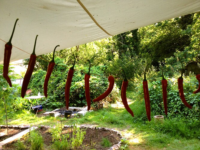 Growreport Bild 15