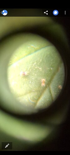 photo_2024-09-17 12.54.03