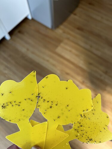 Growreport Bild 1