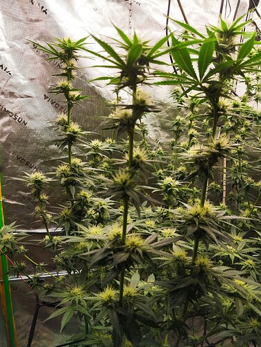 Growreport Bild 11