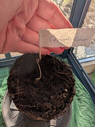 PXL_20250401_154009899