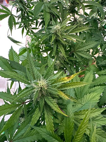 Growreport Bild 18
