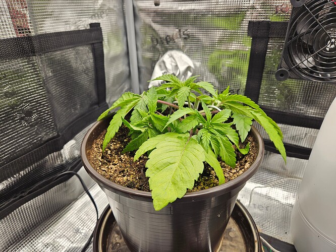 Growreport Bild 26