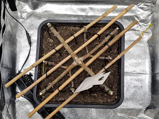 Growreport Bild 8