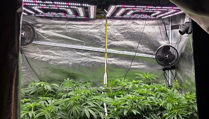 Growreport Bild 34