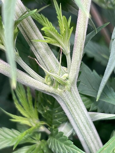 Growreport Bild 29