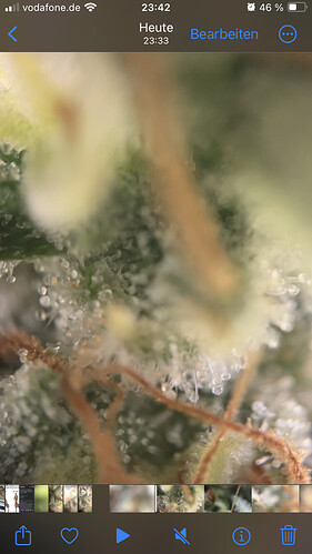 Growreport Bild 11