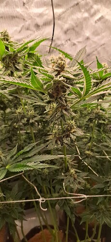 Growreport Bild 18