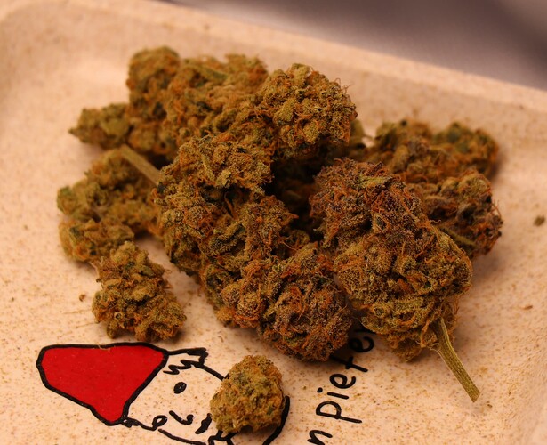 Growreport Bild 59