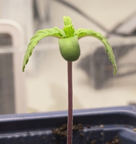 Growreport Bild 22