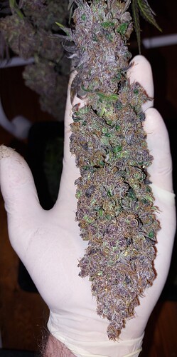 Growreport Bild 9