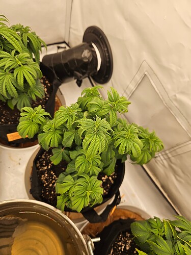 Growreport Bild 5