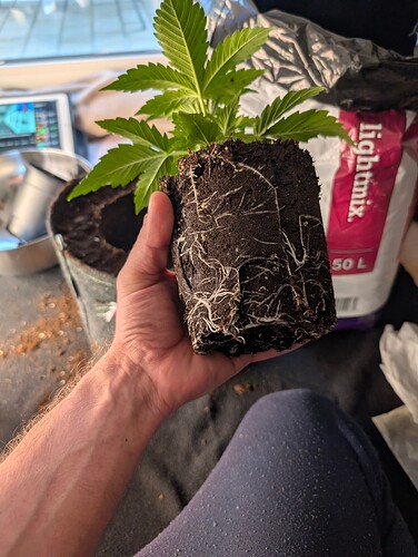 PXL_20250313_142631999.RAW-01.COVER