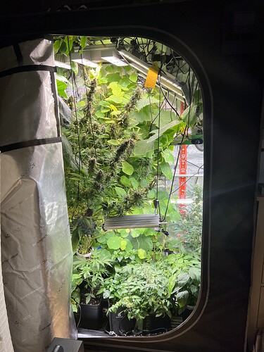 Growreport Bild 15