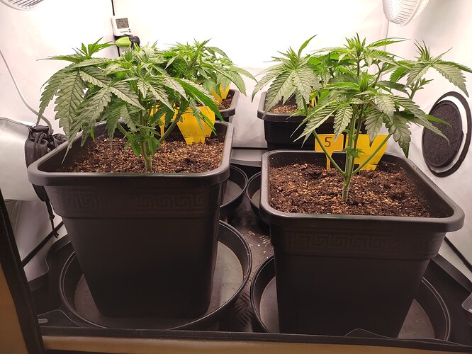 Growreport Bild 27