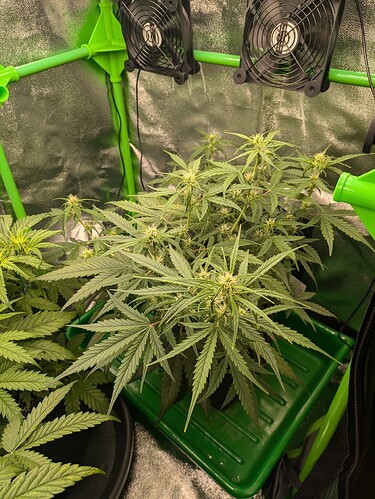 Growreport Bild 19
