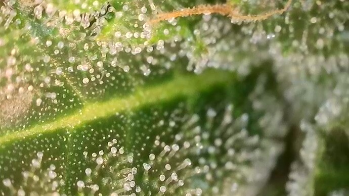 2025-10-22-075142388