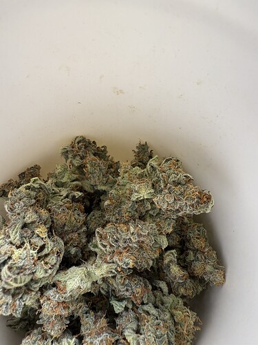 Growreport Bild 7