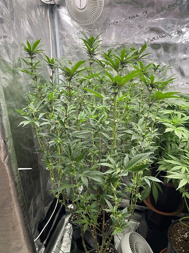 Growreport Bild 4