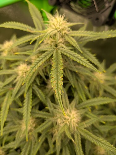 Growreport Bild 13