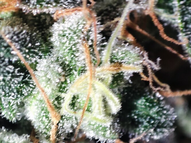 Growreport Bild 45
