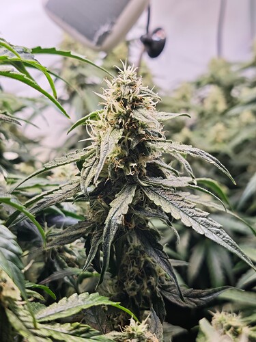 MVIMG_20251110_190048