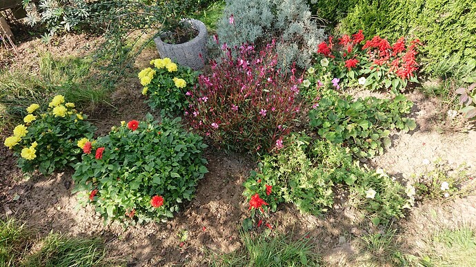 Growreport Bild 20