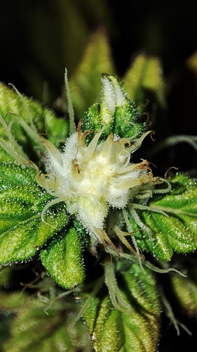 Growreport Bild 3