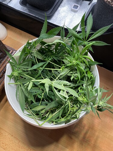Growreport Bild 11